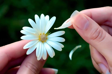 Hd Nature Wallpapers, Free Habitat Images, Sky, Download Hd Images ...