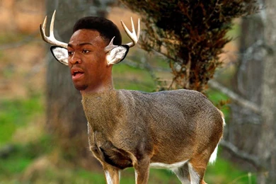 The Milwaukee Bucks Will Select Jabari Parker With The Number 2 ...