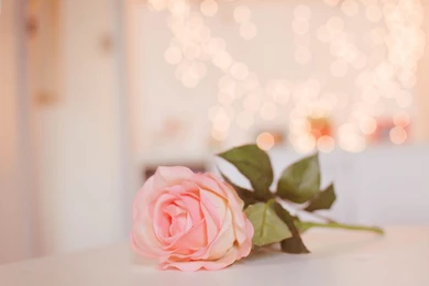 8bit Futurama Wallpapers