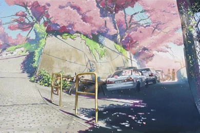 79 5 Centimeters Per Second HD Wallpapers