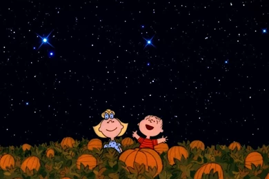 Great Pumpkin Wallpapers   Wallpapers Cave