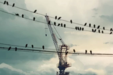 79 5 Centimeters Per Second HD Wallpapers