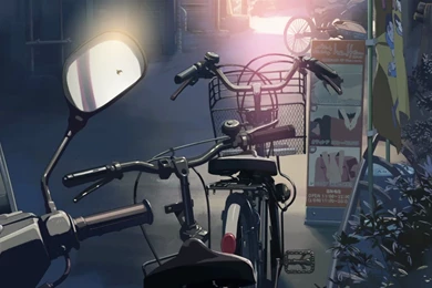 79 5 Centimeters Per Second HD Wallpapers