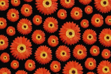 HD Wallpapers: 1024x768 » Abstract » Beautiful Arrangement ...