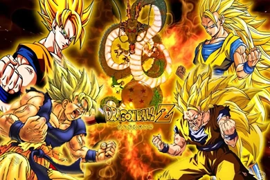 Dragon Ball Z   Bardock And King Vegeta Wallpapers (30372174)   Fanpop