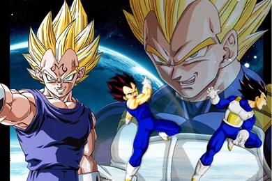 Vegeta's Wallpapers   Dragon Ball Z Photo (34509060)   Fanpop