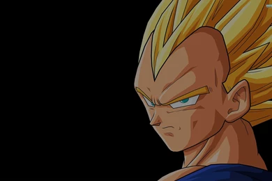 Vegeta dragon ball z 7356 2560x1600.jpg