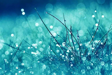 Desktop Images, Art, Colors, Amazing Pictures, Lovely Wallpapers ...