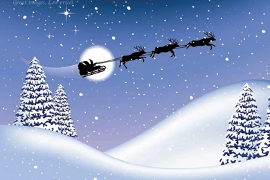 Christmas Snow Backgrounds Wallpapers   175166