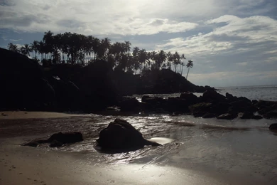 Wallpaper: Free Nxe Wallpapers