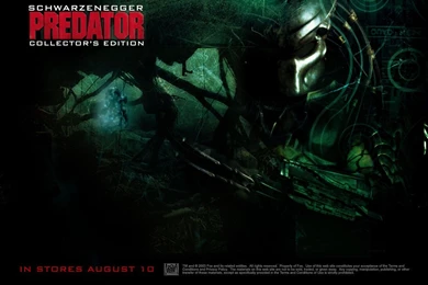 Predator   Horror Movies Wallpapers (7093693)   Fanpop