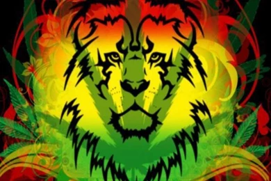 Wallpapers Rastafarian Flag Best Rasta 720x1280