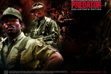 Predator   Horror Movies Wallpapers (7093635)   Fanpop