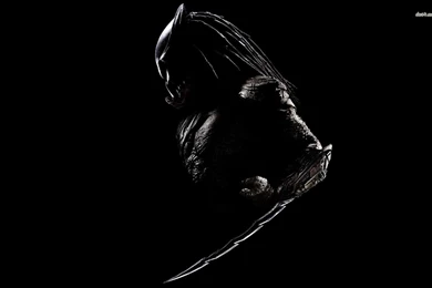 Predators Wallpapers   Movie Wallpapers