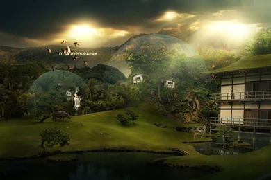 High Quality Wallpapers 5.jpg