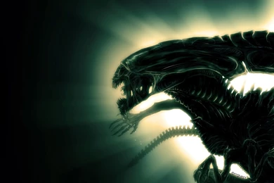Alien Vs Predator Movie Wallpaper.