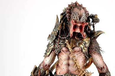 Predator Computer Wallpapers, Desktop Backgrounds