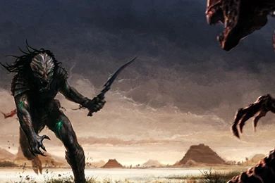 Alien Vs Predator Wallpapers Movie Wallpapers