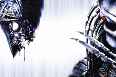 AVP: Alien Vs. Predator Computer Wallpapers, Desktop Backgrounds ...