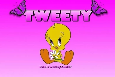 Tweety Bird Backgrounds   Wallpapers Cave