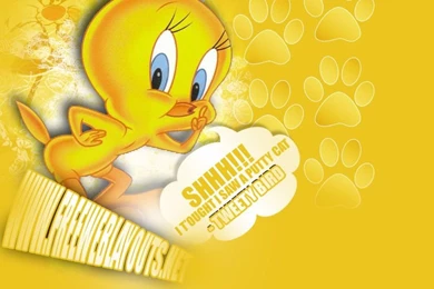 Tweety Bird Myspace Free Layout Template   DesignRanker.com