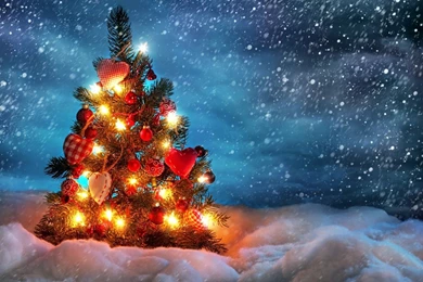 Beautiful_christmas_tree wide wallpaper+Downlaod+free.jpg