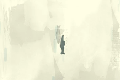 Chocolate Fish Desktop Wallpapers Design