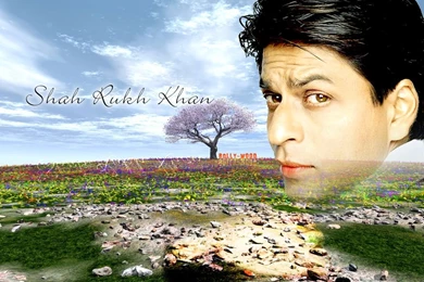 Desktop Wallpaper, Bollywood Wallpaper, Shah Rukh Khan