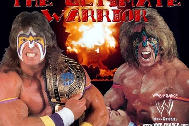 Trololo Blogg: Wcw Nwo Wallpapers