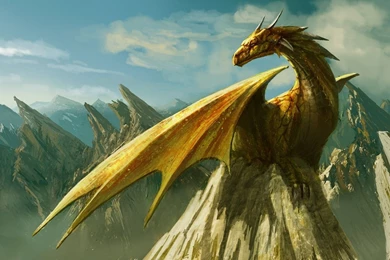 Dragon Wallpapers 1920x1080   (