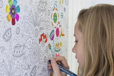 Wallpaper's Making A Comeback   The Boston Globe