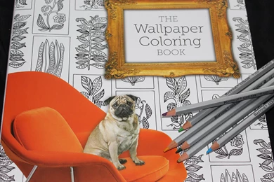 Why You Should Fall In Love With Adult Coloring Books