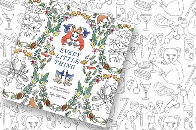 Coloring Books For Design Lovers Photos