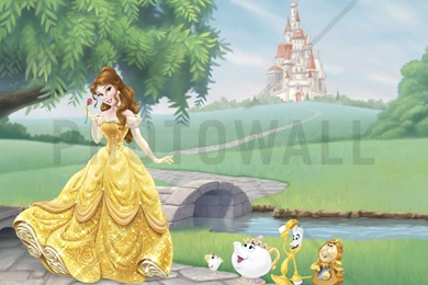 Disney Princess   Belle   Wall Mural & Photo Wallpapers   Photowall