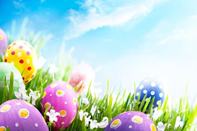Happy Easter Wallpapers   Free Large Images