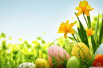 Happy Easter 2014 HD Desktop Wallpapers : High Definition ...
