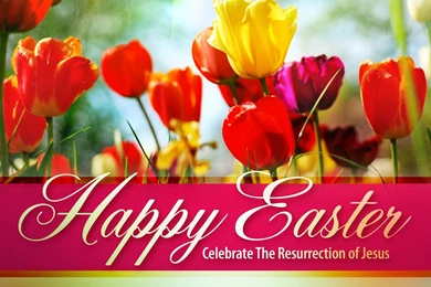 HAPPY EASTER WALLPAPER   (