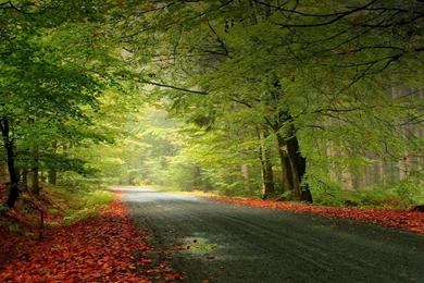 Nature Backgrounds Wide Wallpapers