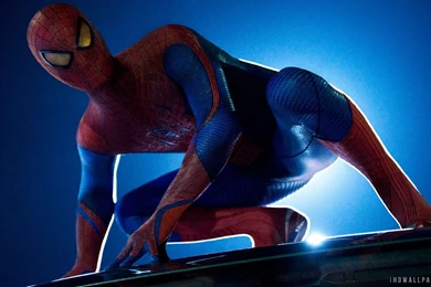Spider Man HD Wide Wallpapers   1920x1080 Resolution