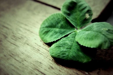 FotoJULIAK (Julia)   DeviantArt