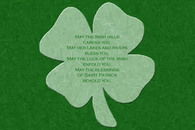 Four Leaf Clover (4 Daun Keberuntungan)