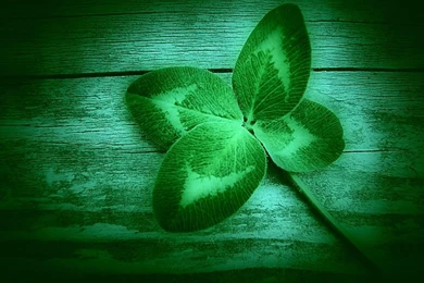 Bar Exam Luck   BarMax Bar Exam Review