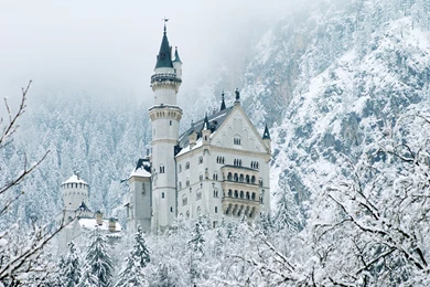 Neuschwanstein Castle Castles Gery Full HD Stunning Wallpapers Free ...