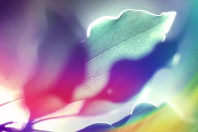 Abstract Multicolor Leaves Design Backgrounds Wallpapers ...