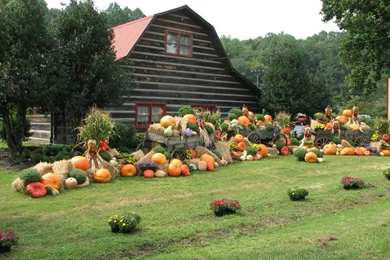 Thanksgiving Day Scene Wallpapers   Crazy Frankenstein