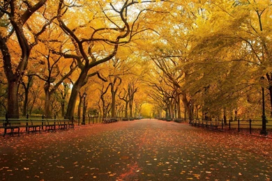 Autumn Scenes Pictures HD Wallpapers
