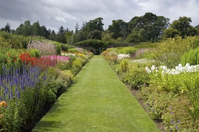 Cool Garden Nature Scenes