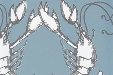 Gallery For   Quadrille Wallpapers