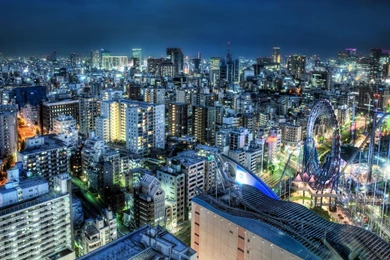 Wallpapers Tokyo   Wallpapers Animal Hd