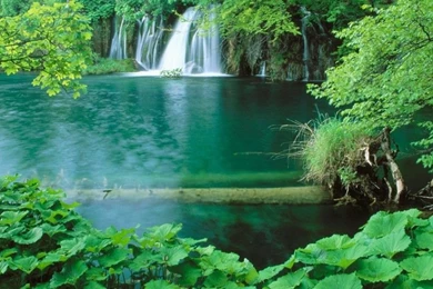 Best Nature HD Wallpaper 1024×768